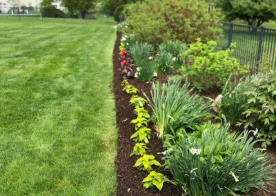 Garden Maintenance and Garden Installation in Westford, MA.
