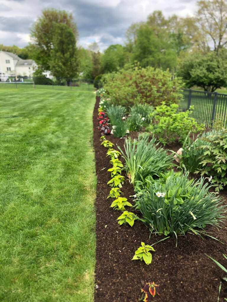 Garden Maintenance and Garden Installation in Westford, MA.