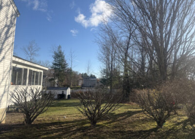 Greenleaf’s Garden Design — creating clean lines, healthy plants, and happy clients.