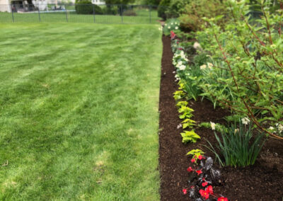 Garden Maintenance and Garden Installation in Westford, MA.