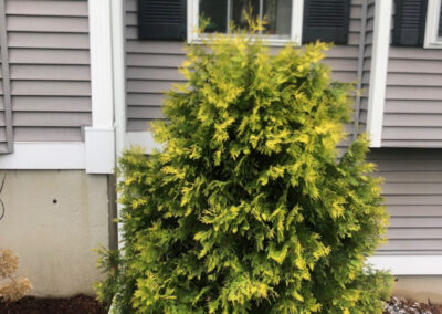 Garden Maintenance and Seasonal Maintenance in Windham, NH
