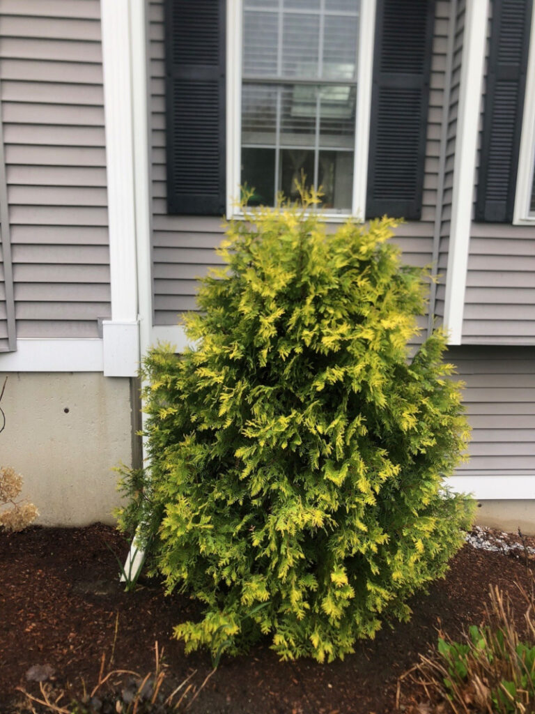 Garden Maintenance and Seasonal Maintenance in Windham, NH