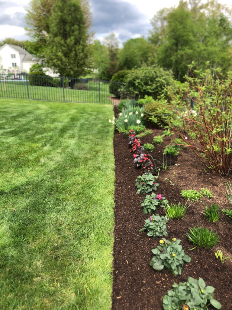 Garden Maintenance and Garden Installation in Westford, MA.