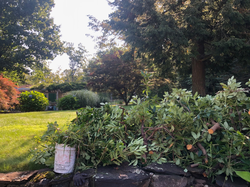 Garden Maintenance in Tyngsboro, MA.