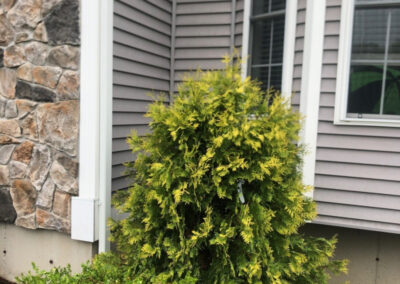 Garden Maintenance and Seasonal Maintenance in Windham, NH
