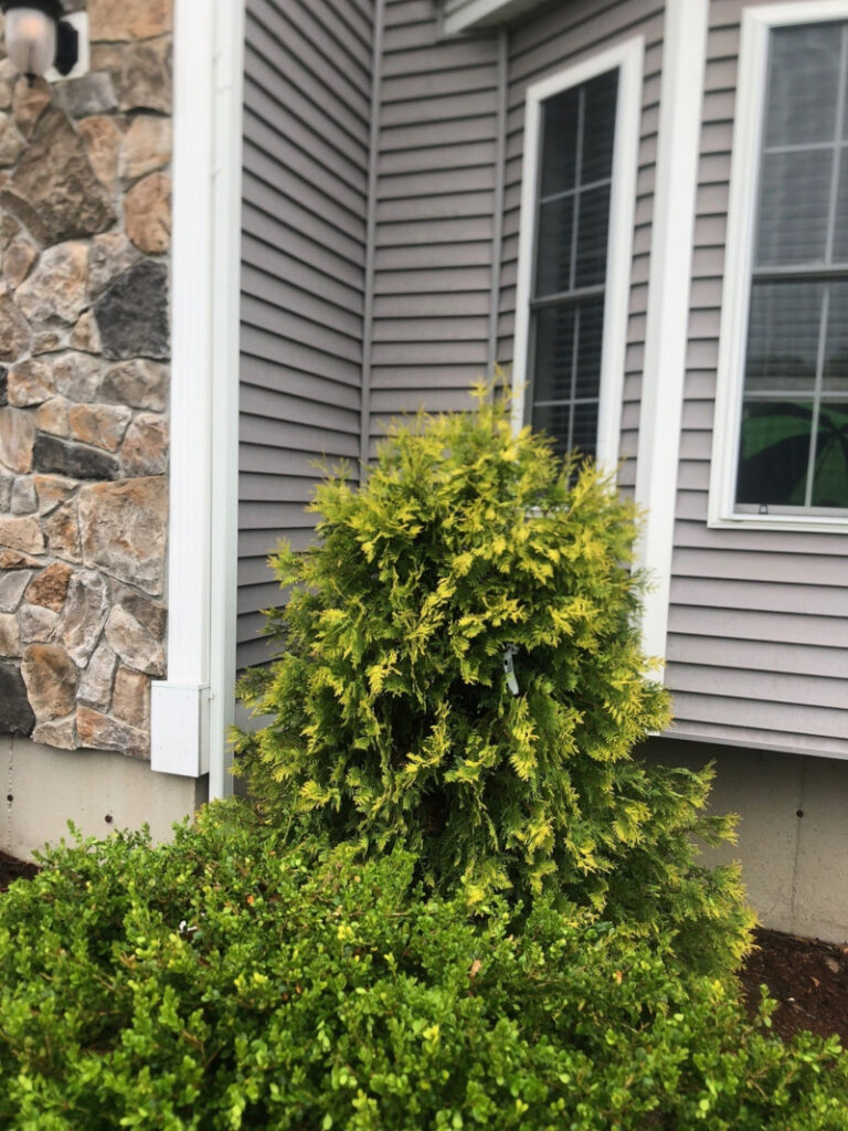 Garden Maintenance and Seasonal Maintenance in Windham, NH