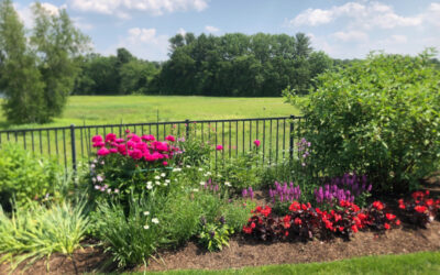 Spring Garden Maintenance in Westford, MA.