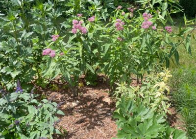 VIBRANT GARDEN IN TOPSFIELD, MA