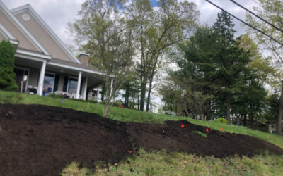 Garden Design and Garden Installation in Littleton, MA.