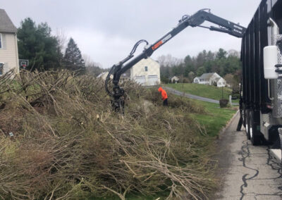 Tree and Shrub Pruning in Tyngsboro, MA.