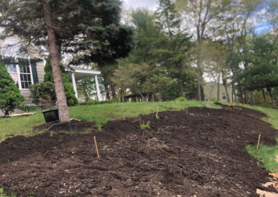 Garden Design and Garden Installation in Littleton, MA.
