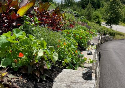 The upper gardens were started in 2019, and the Rock Garden in May of 2024. These 2,500 square foot gardens are the talk of the neighborhood!