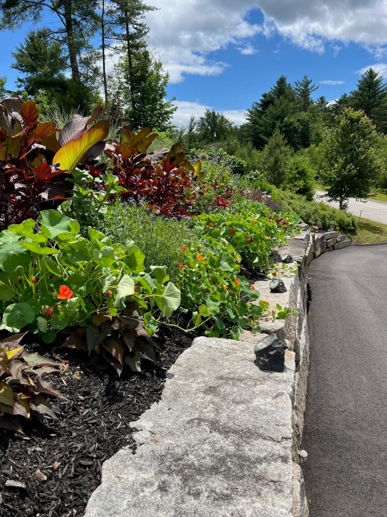 The upper gardens were started in 2019, and the Rock Garden in May of 2024. These 2,500 square foot gardens are the talk of the neighborhood!