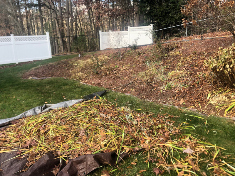 Garden Maintenance and Cleanup in Tyngsboro, MA.