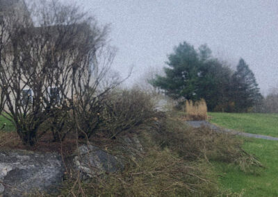 Tree and Shrub Pruning in Tyngsboro, MA.