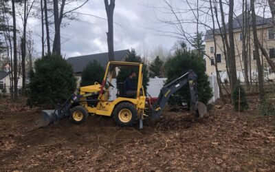 Garden Design Services with new trees in Hollis, NH.