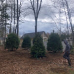 Garden Clean-Up and Maintenance in Billerica, MA.