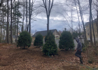 Garden Clean-Up and Maintenance in Billerica, MA.