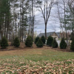 Garden Clean-Up and Maintenance in Billerica, MA.