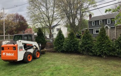 7 Western Cedar were installed in Newton, MA