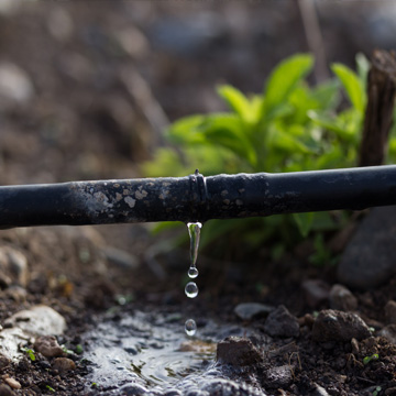 Drip Irrigation in Tyngsboro, MA
