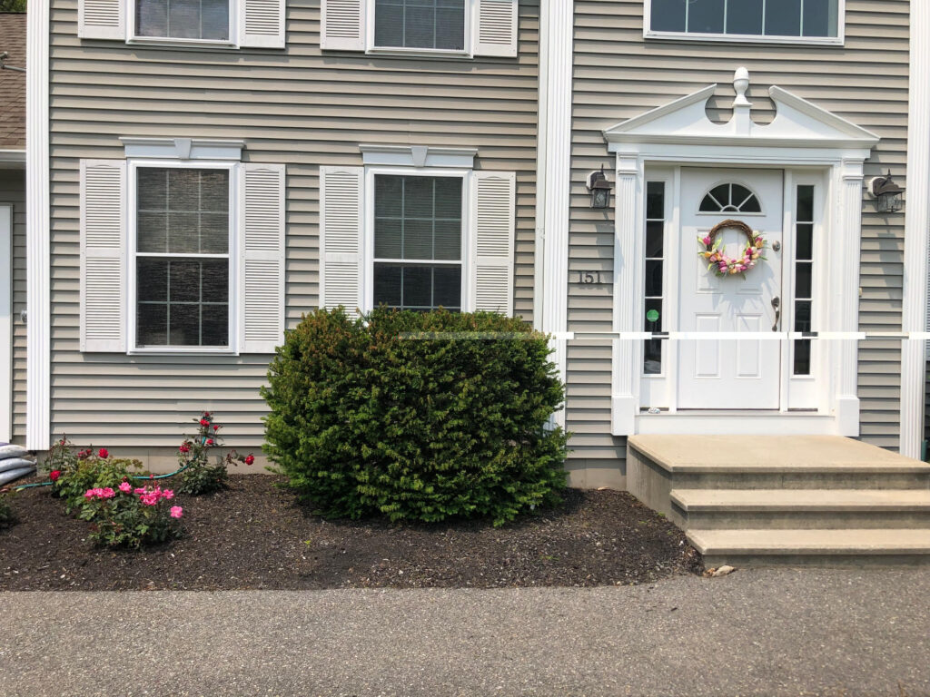 For this project in Pelham, NH, Greenleaf’s Garden Design planted 10 knock out roses and 7 daylilies. We also put down mulch and river rock. To finish up, we cut back and pruned the yews. 