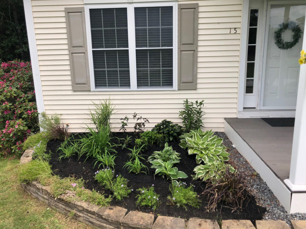 We added 53 perennials and 10 annuals for this low maintenance setup in Pelham, NH