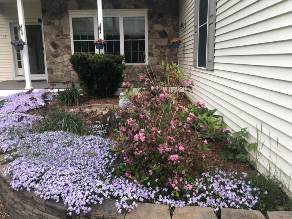 We added 53 perennials and 10 annuals for this low maintenance setup in Pelham, NH