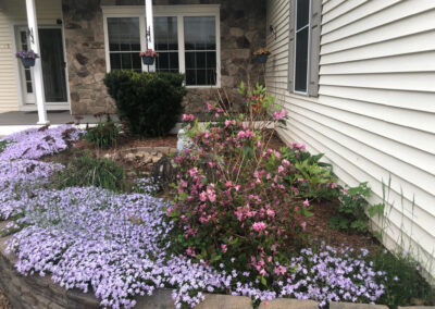 We added 53 perennials and 10 annuals for this low maintenance setup in Pelham, NH