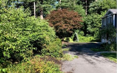 Garden Maintenance and Pruning in Bedford, MA.