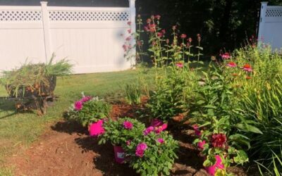 Garden Clean-Up and Maintenance in Tyngsboro, MA.