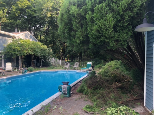 Garden Cleanup and Maintenance in Bedford, MA. 