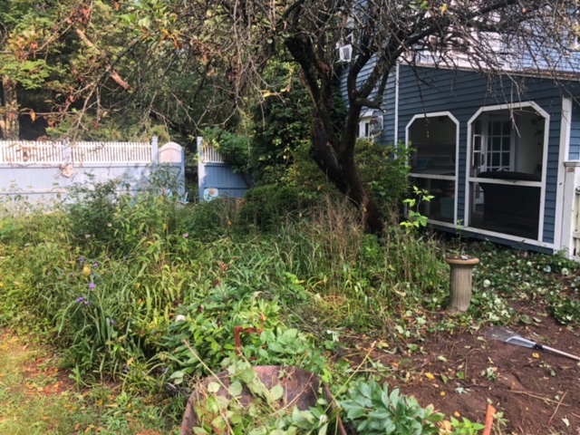 Garden Cleanup and Maintenance in Bedford, MA. 