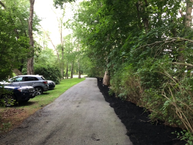 Garden Cleanup and Maintenance in Bedford, MA. 