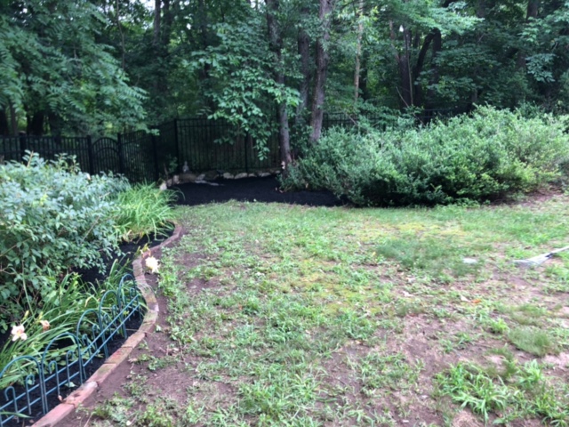 Garden Cleanup and Maintenance in Bedford, MA. 