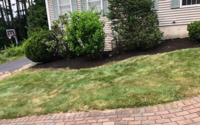 Garden Clean up and Maintenance in Bedford, NH.