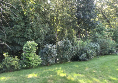 Garden Clean-Up and Pruning in Groton, MA.