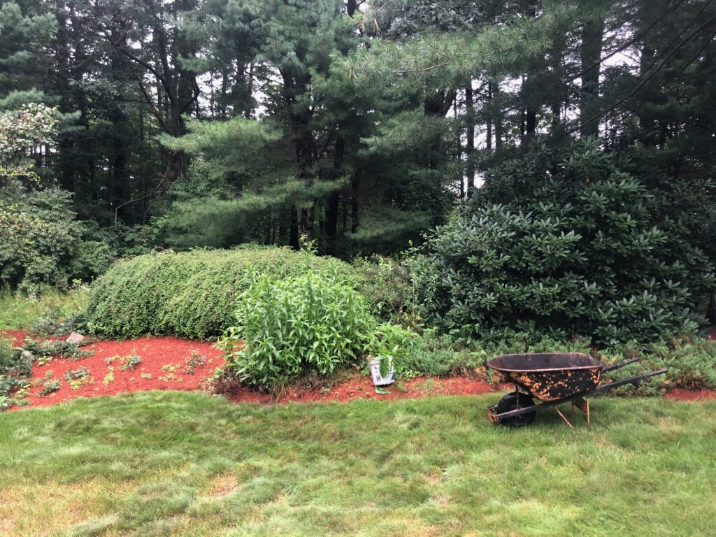 Garden Clean-Up and Maintenance in Nashua, NH.