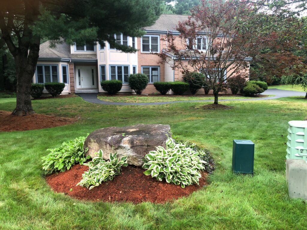 Garden Clean-Up and Maintenance in Nashua, NH.