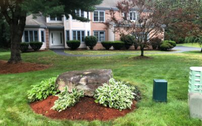 Garden Clean-Up and Maintenance in Nashua, NH.