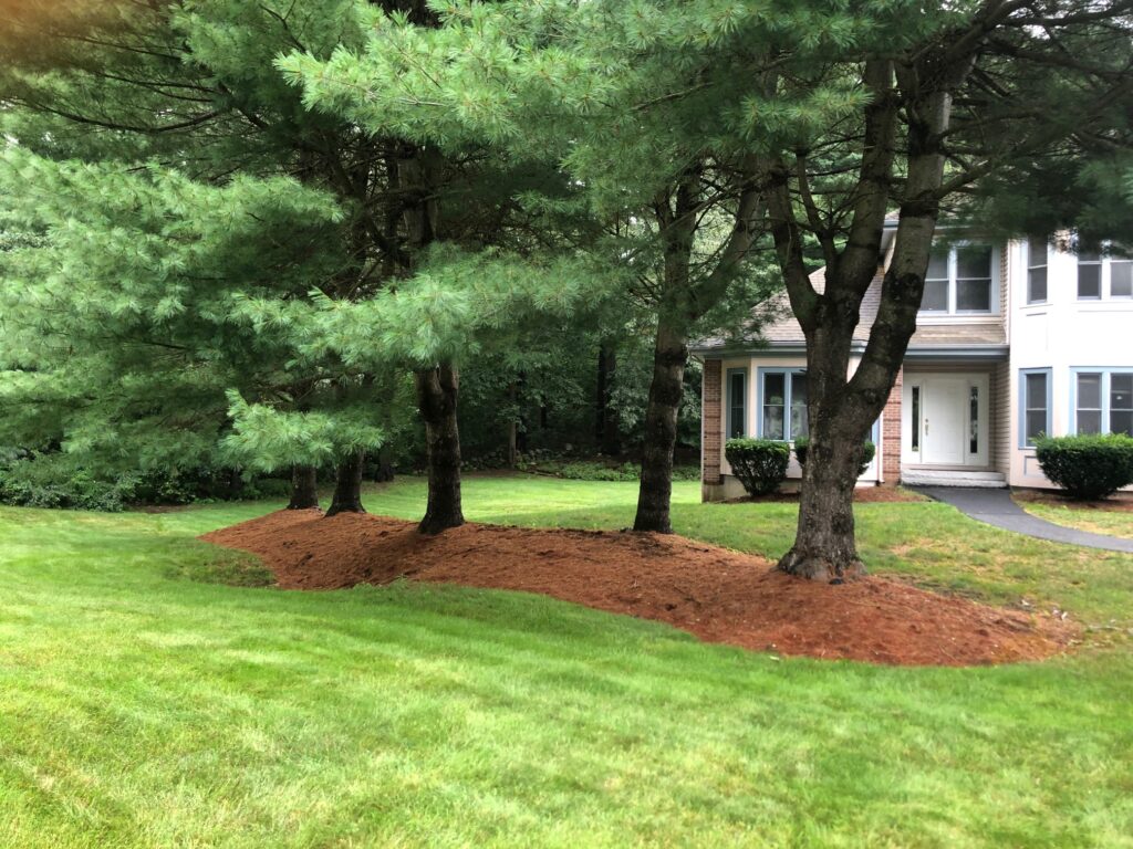 Garden Clean-Up and Maintenance in Nashua, NH.