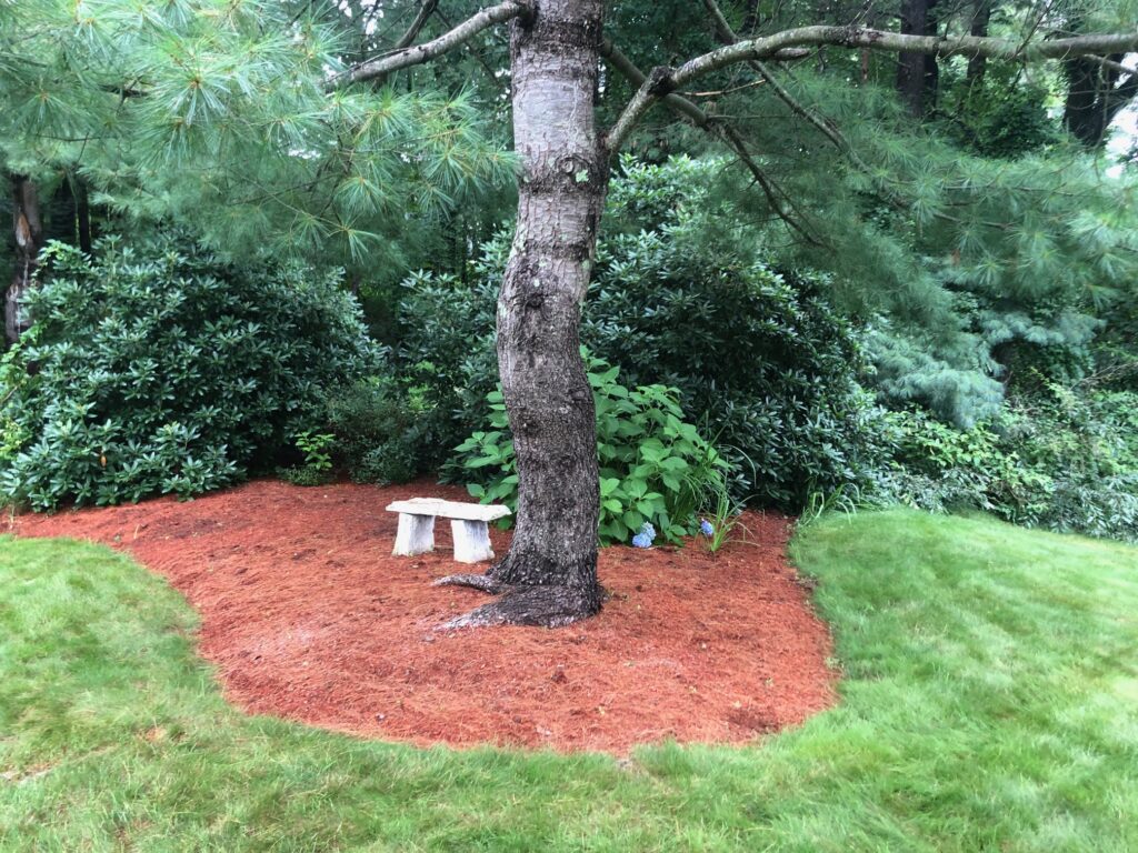 Garden Clean-Up and Maintenance in Nashua, NH.