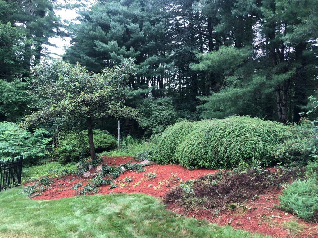 Garden Clean-Up and Maintenance in Nashua, NH.