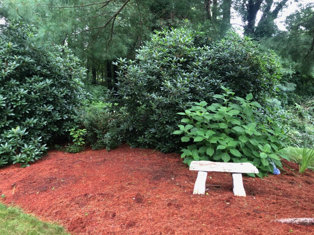 Garden Clean-Up and Maintenance in Nashua, NH.