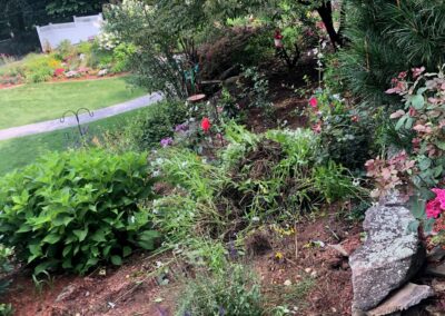 Garden Clean-Up and Maintenance in Tyngsboro, MA.