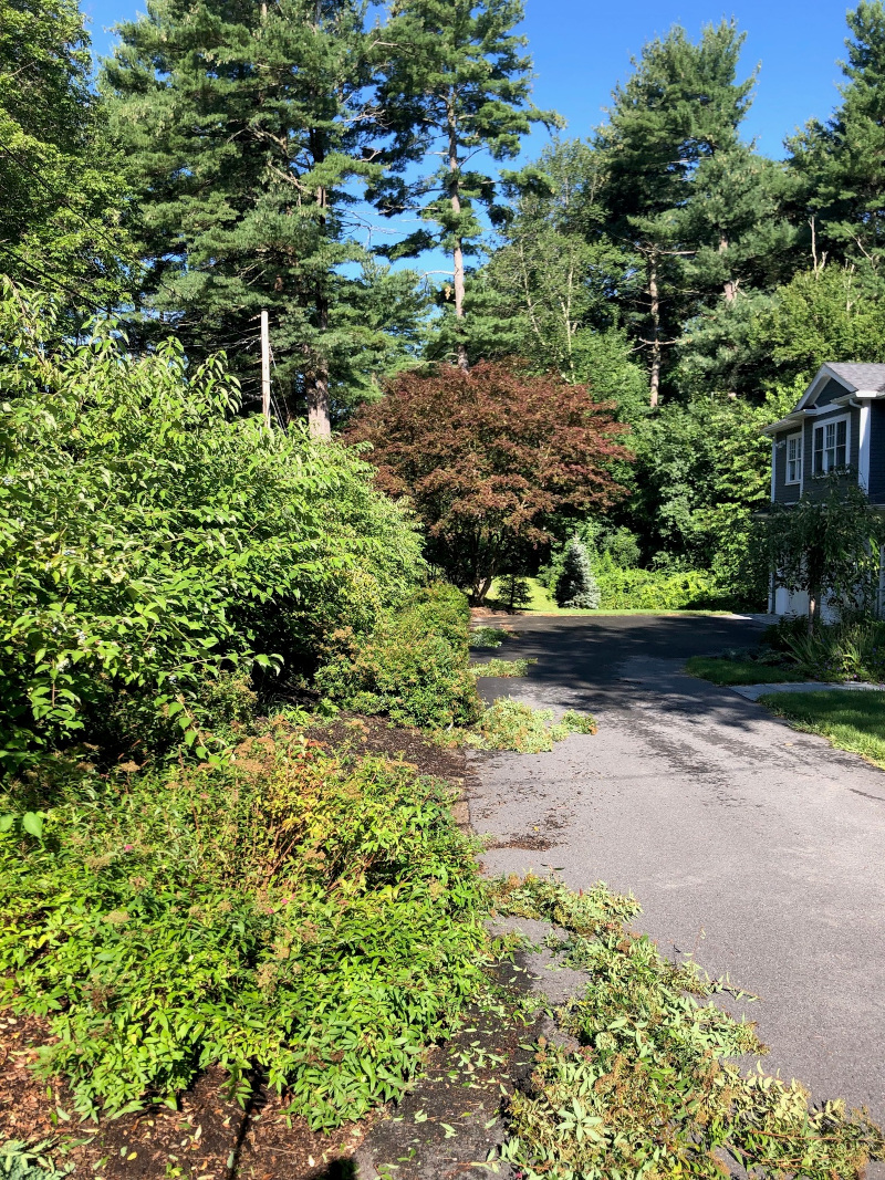 Garden Maintenance and Pruning in Bedford, MA.