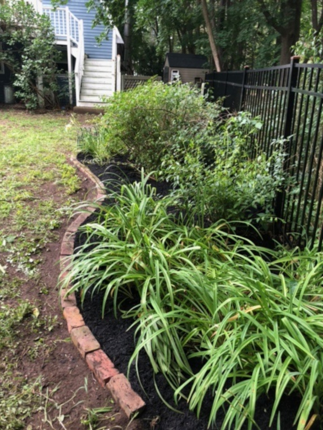 Garden Cleanup and Maintenance in Bedford, MA. 