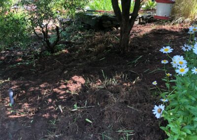 Garden Clean-Up and Maintenance in Tyngsboro, MA.