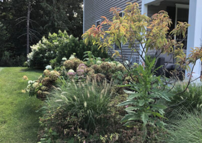 Garden Clean-Up and Pruning in Groton, MA.