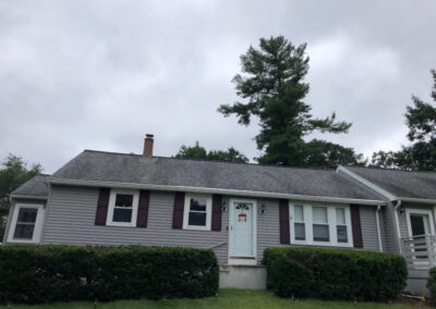 Pruning Shrubs in Tyngsboro, MA.